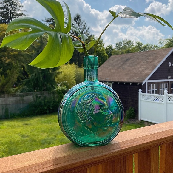 Propagation - Picture 4 of 10